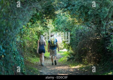 Francia, Finisterre, Plouezoc'h, passeggiata sulla penisola Kernelehen lungo la baia di Morlaix Foto Stock