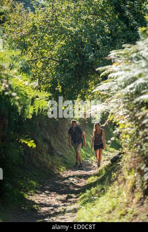 Francia, Finisterre, Plouezoc'h, passeggiata sulla penisola Kernelehen lungo la baia di Morlaix Foto Stock