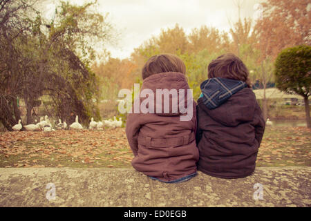 Vista posteriore di due bambini seduti su un muro che guarda un gregge di oche Foto Stock