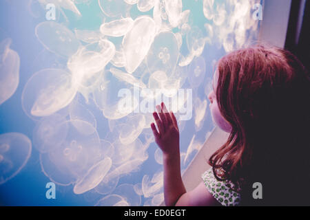La ragazza (6-7) la visione di meduse in acquario Foto Stock