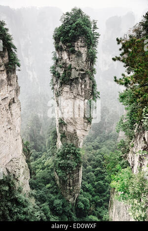 Guglia di montagna coperti di alberi a Zhangjiajie National Forest Park, Zhangjiajie, Hunan, Cina Foto Stock