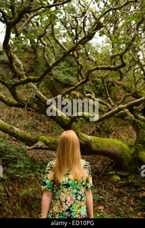 Timidezza: un enigmatico immagine di una giovane donna ragazza con lunghi capelli biondi nascondendo oscurando che copre la sua intera faccia in piedi da sé solo in autunno boschi di alberi da foresta , Regno Unito Foto Stock