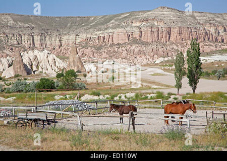 I cavalli in legno e corral eroso e bianco arenaria rosa formazioni rocciose a Cappadocia in Anatolia centrale, Turchia Foto Stock