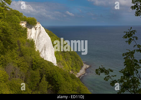 Königsstuhl, re della sedia, chalk cliffs in autunno, Jasmund National Park, Rügen, Meclemburgo-Pomerania Occidentale, Germania, Europa Foto Stock