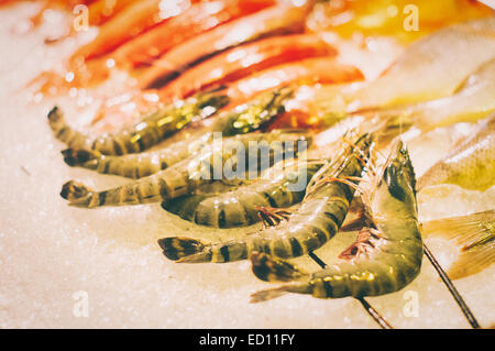 Fresh tigre gigantesca boreale piatti di pesce come alimento gastronomico concetti. Foto Stock