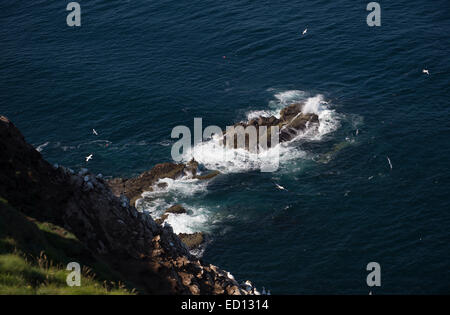 Guardando il mare dalla Troup testa su Banff costa del Nord Est Aberdeenshire in Scozia Foto Stock