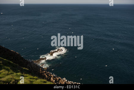 Guardando il mare dalla Troup testa su Banff costa del Nord Est Aberdeenshire in Scozia Foto Stock