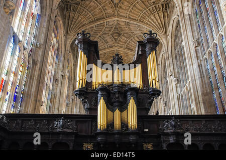 Organo a canne e interno della Cappella del King's College di Cambridge Cambridgeshire England Regno Unito Regno Unito Foto Stock