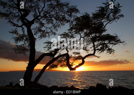 Tramonto, Wailea Beach, Maui, Hawaii. Foto Stock