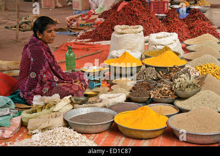 Donna vendita di spezie al mercato all'aperto in Chhota-Udepur, Gujarat, India Foto Stock