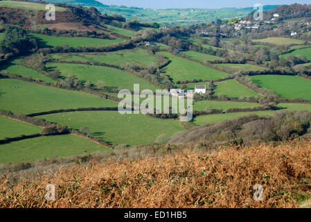 Azienda agricola e terreni agricoli East Devon England Foto Stock