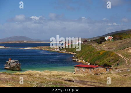 Nuova isola conservazione Trust, Nuova Isola, Isole Falkland. Foto Stock