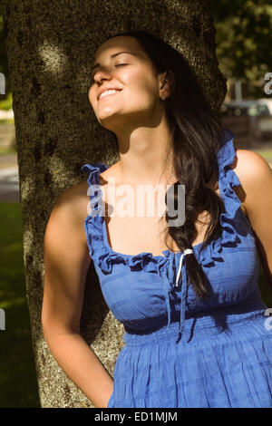 Bruna appoggiata contro un albero godendo il sole Foto Stock