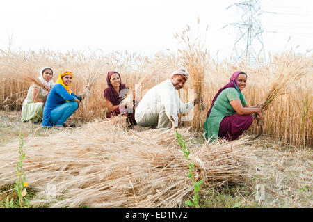 Villaggio indiano rurale famiglia agricoltore il taglio del frumento Foto Stock