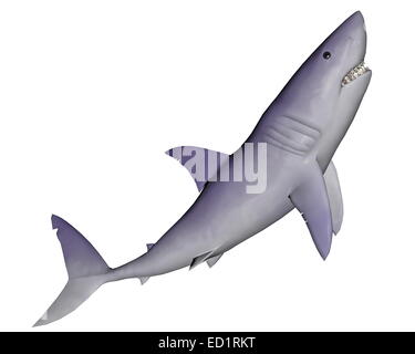 Tranquillo shark spostando fino in fondo bianco Foto Stock