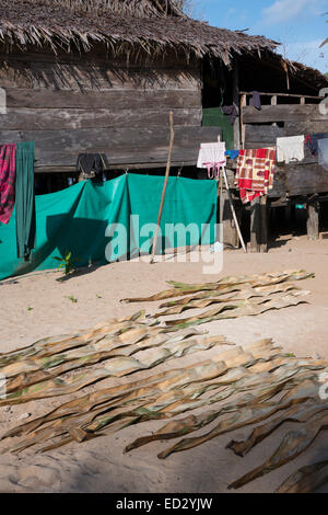 La Melanesia, Papua Nuova Guinea, Bismarck area di mare, Tuam Isola, Tuam village. Essiccamento palme di fronte a casa. Foto Stock