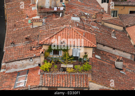 Lucca tegola di tetto di casa residenziale in Toscana, Italia. Foto Stock