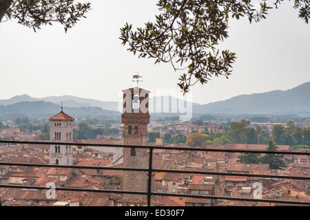 Guardare oltre la città di Lucca in Toscana, Italia, dall'interno della torre Guinigi Foto Stock