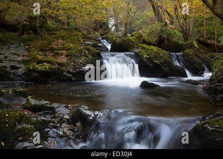 Il centro cade di Aira Force in autunno nel Lake District inglese, REGNO UNITO Foto Stock