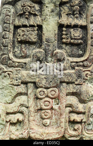 Pietra scolpita stella del re in copan, Maya sito archeologico in Honduras e in un sito patrimonio mondiale dell'UNESCO. Foto Stock