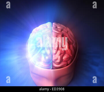 Cervello umano con preriscaldo e luce. Foto Stock
