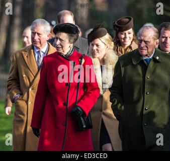 Sandringham, UK. 25 dic 2014. La famiglia reale frequentare la Chiesa tradizionale giornata di servizio a Sandringham. Credito: Ian Ward/Alamy Live News Foto Stock