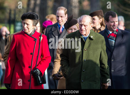 Sandringham, UK. 25 dic 2014. La famiglia reale frequentare la Chiesa tradizionale giornata di servizio a Sandringham. Credito: Ian Ward/Alamy Live News Foto Stock