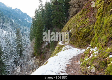 Coperta di neve Eagle Creek Forest Sentiero escursionistico presso la Columbia River Gorge Oregon nella stagione invernale Foto Stock