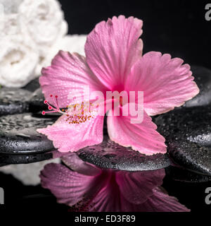 Spa concept di delicati ibisco rosa con gocce di bianco e di asciugamani impilati su zen pietre in acqua di riflessione Foto Stock