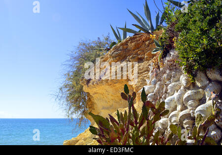 Il giardino dei Cactus su Armacao de Pera Beach, Portogallo Foto Stock