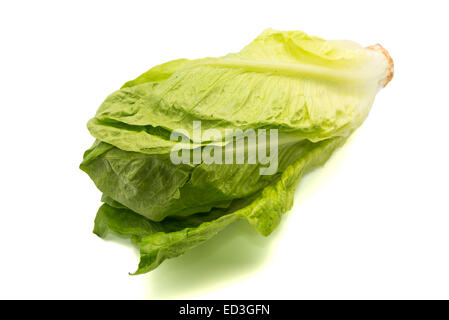 Insalata verde su sfondo bianco Foto Stock