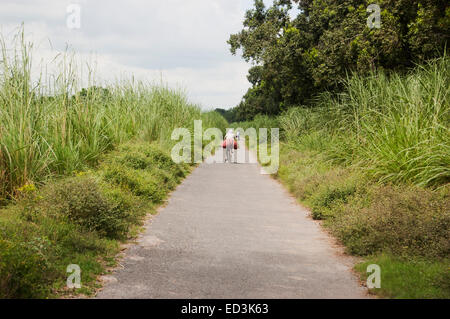 1 uomo rurale villaggio lato strada del ciclo di equitazione Foto Stock