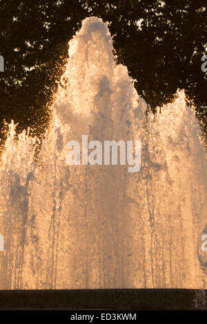 Fontana, vicino a noi palazzo Capitol, Washington DC Foto Stock