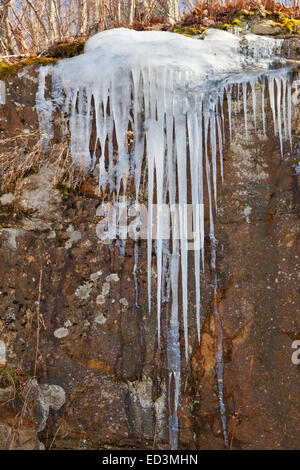 Lunghi ghiaccioli formando su di una collina a lato di una strada Foto Stock