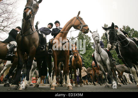 Il Worcestershire Hunt si riunisce a Droitwich Worcs, Regno Unito Foto Stock