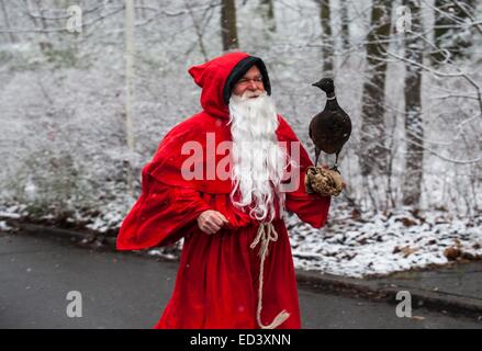 Grunewald, Berlino, Germania. Il 26 dicembre, 2014. Un uomo vestito da Santa Claus detiene un oca in Grunewald, Berlino, Germania, 26 dicembre 2014. Dopo questi contemplativa giorni di Natale, diversi per gli amanti del jogging ha preso parte al "Oca arrosto eseguire DIGESTIVI'. Foto: PAOLO ZINKEN/dpa/Alamy Live News Foto Stock