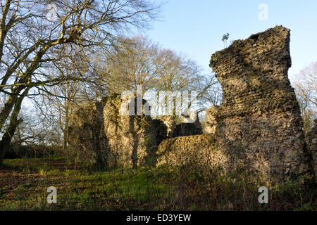 Rovine di South Elmham Minster, Suffolk, Regno Unito Foto Stock