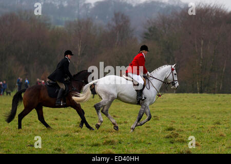 Rivington, Horwich vicino a Bolton, Lancashire. Regno Unito. 26 Dicembre 2014: Susan Simmons da Preston chi è il Senior Lady Master della Holcombe Hunt, sul suo cavallo, Taffy a Rivington dove cavalli e cavalieri si riuniscono per l'annuale e tradizionale Boxing Day Hunt. La caccia con i cani è stata messa fuorilegge otto anni fa, ma molte giuridiche "caccia" ancora continuare. Cavalli e Cavalieri seguire sentieri profumati su un display del fasto e cerimonia dopo Natale. Vi è stato il consueto corteo intorno ai campi di fronte Rivington Barn prima della posa dei sentieri e la voce off a Mori. Credito: Cernan Elias / Alamy Live Foto Stock