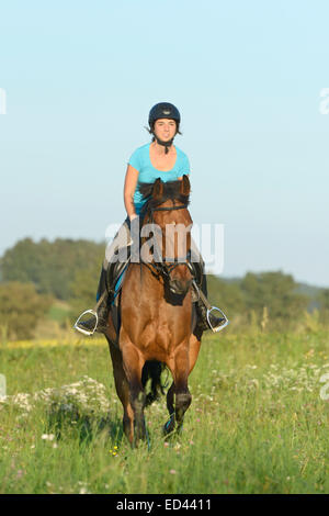 Giovane pilota sul dorso di un cavallo bavarese al galoppo in un prato in estate Foto Stock