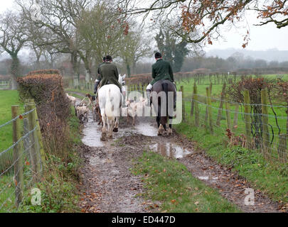 Boxe tradizionale giorno trascinare hunt a Axbridge, Somerset. 26 Dicembre 2014 Foto Stock