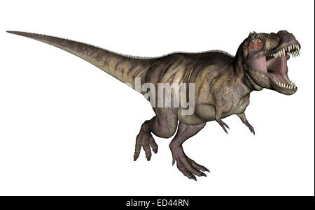 Aggressivo Tyrannosaurus rex con bocca aperta in sfondo bianco Foto Stock