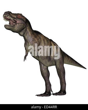 Aggressivo Tyrannosaurus rex con bocca aperta in sfondo bianco Foto Stock