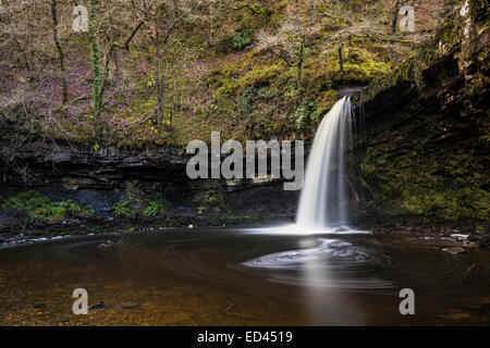 Sgwd Gwladus cascata, Pontneddfechan, Wales, Regno Unito Foto Stock