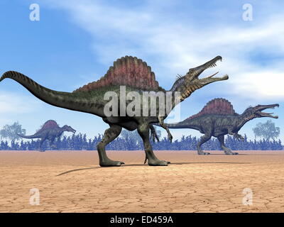 Tre dinosauri spinosaurus a piedi nel deserto di giorno Foto Stock