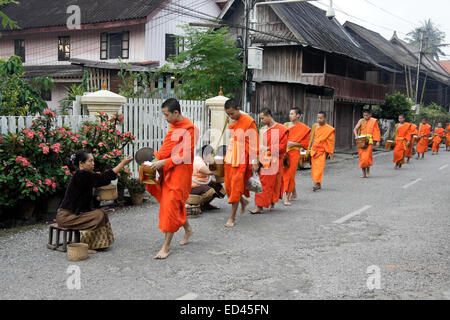 I monaci buddisti raccolta di mattina alms, Luang Prabang, Laos Foto Stock