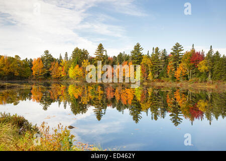 Serbatoio Pontook sul fiume Androscoggin lungo il percorso 16 in Dummer, New Hampshire USA durante i mesi di autunno Foto Stock