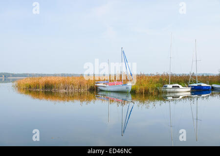 Barche sul lago Zdworskie, Polonia Foto Stock