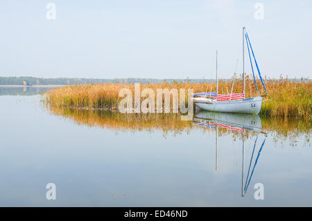 Barche sul lago Zdworskie, Polonia Foto Stock