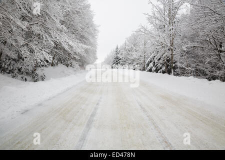 In prossimità del Hugh J Gallo memorial parcheggio in Franconia Notch State Park, New Hampshire USA durante gli ultimi mesi dell'autunno. Foto Stock