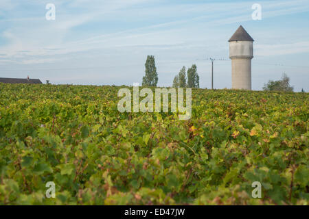 Villaggio francueil, nella Francia centrale. I vitigni e alla torre d'acqua. Foto Stock